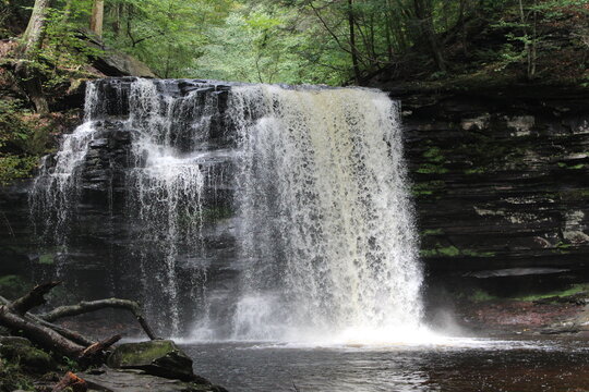 waterfall in the forest