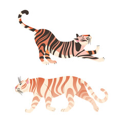 Adult Big Tiger with Striped White and Orange Fur as Largest Living Cat Species Vector Set