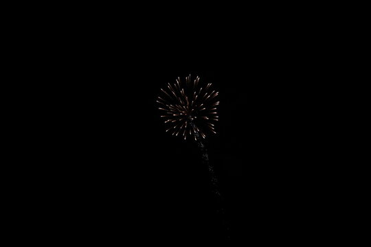 4th of July fireworks in a night sky