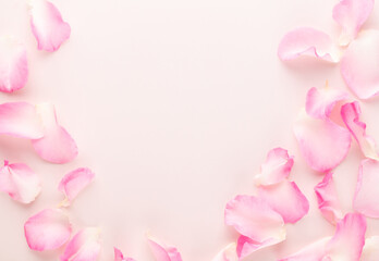 Rose flowers petals on pastel background. Valentines day background. Flat lay, top view, copy space.