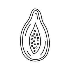 Contour vector illustration of a papaya cut in half. Hand drawn badge and symbol for printing on baby clothes, sticker, textile design, design for grocery store, menu, for kitchen design.