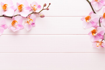 Orchid flower on the wooden pastel background. Spa and wellness scene.