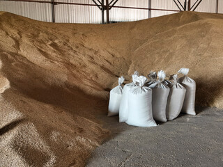 Bags of grain are filled at the granary. Concept of harvesting, famine, crisis, sanctions.