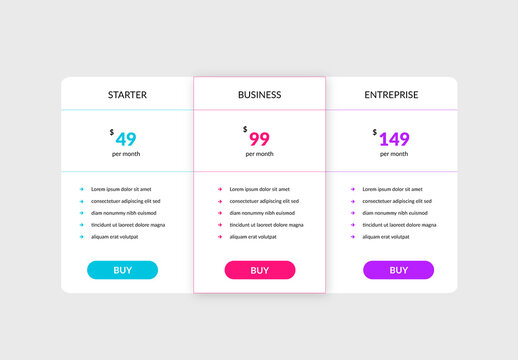 Simple Subscription Plan Infographic Layout