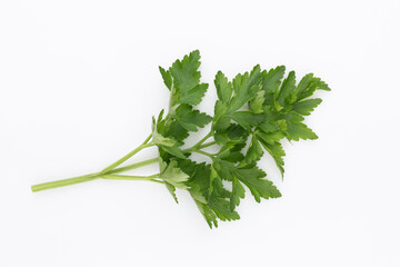 Bio parsley leaf on white background.