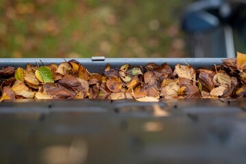 A portrait of a gutter on a roof full of colorful fallen leaves during fall season. Cleaning the...