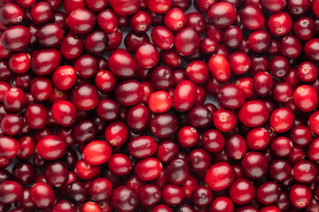Cranberry bio background, food background.