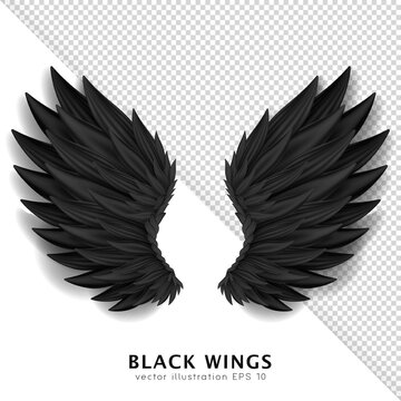 Black devil wings isolated on transparent background. Dark angel outfit, masquerade, carnival costume. Daemon's realistic wings. Three dimensional monster or bird wings.  Vector illustration EPS 10