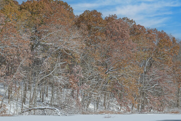 Autumn landscape of snow flocked forest at Warner Lake, Michigan, USA
