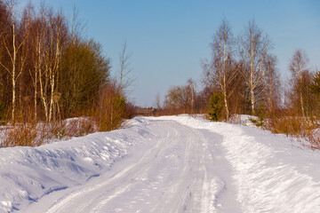 Fototapeta na wymiar winter road through the forest to the village
