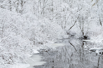 Winter creek framed by snow flocked trees, Michigan, USA