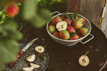 Many ripe pears in a colander on a wooden garden table