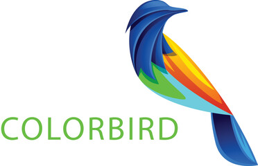 abstract logo design, colour logo