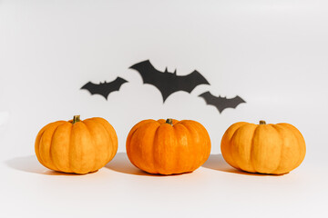 Fresh ripe orange pumpkin on white background. Space with bats Halloween concept