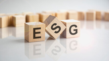 ESG - Environmental Social Governance shot form on wooden block