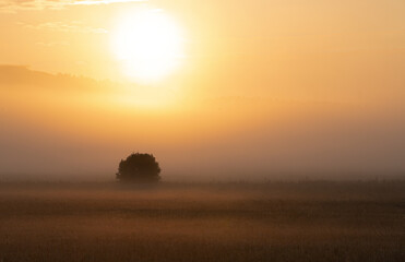 Fototapeta na wymiar Misty Sunrise