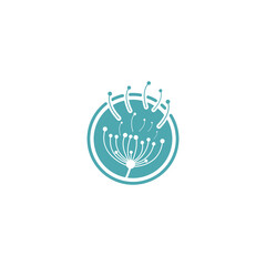 dandelion flower logo with template vector illustration