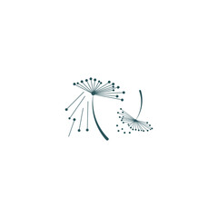 dandelion flower logo with template vector illustration