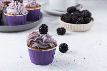 Delicious blackberry cupcake on a gray background with berries, tea and cupcakes in the background