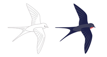 Coloring page outlined flying swallows. Bird in flight. Vector flat illustration isolated on white. Coloring book for children. 