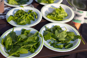 fresh green spinach in a salad bowl