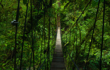 Suspension bridge in tropical rain forest - obrazy, fototapety, plakaty