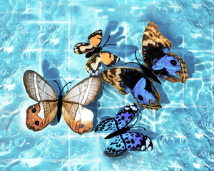 Summer trendy idea of butterflies in the pool on a pastel blue background. 80s or 90s retro...