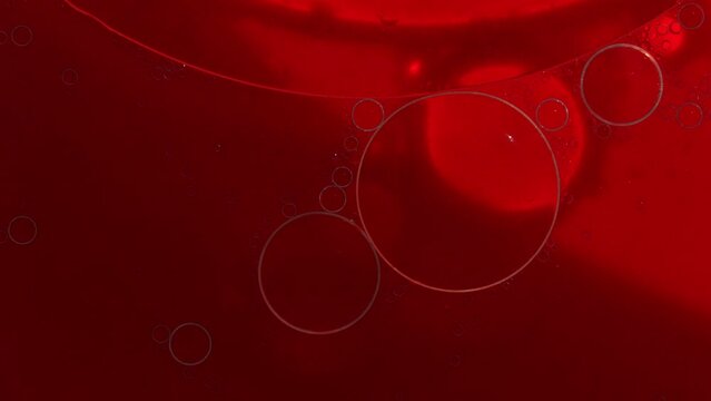 Petri dish with dragon's blood. Selective close-up focus. The concept of blood analysis for cosmetology. An ingredient of natural cosmetics. High quality 4k footage