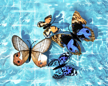 Summer trendy idea of butterflies in the pool on a pastel blue background. 80s or 90s retro aesthetic fun idea. Minimal beach composition.