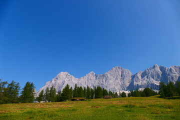 Almwiesen an der Dachsteinsüdwand