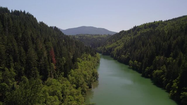 Drone footage over the Nisqually River in a forest of evergreen trees near Le Grande Dam.