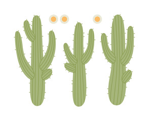Hand-drawn set of saguaro cactus with flowers. Desert plants. Flat vector illustration isolated on white background.