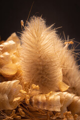 Arrangement with dried flowers