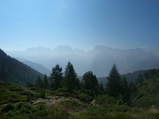 Obraz premium Panorama 