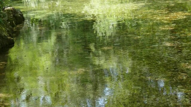 video fiume in 4k