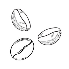 Coffee bean set. Isolated coffee bean on white background. Sketch vector drawing