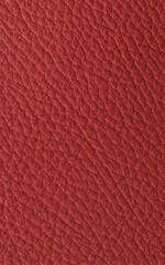 Fototapeta premium red leather texture