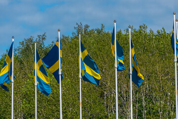 Several swedish flags flying on flagpoles. - Powered by Adobe