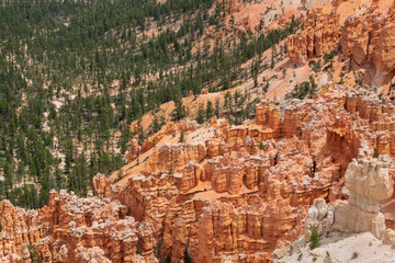 Hoodoos shot from above in Bryce Canyon National Park, Utah, USA