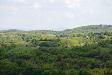 spring landscape on the mountain