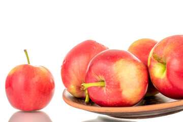 Several ripe sweet red apples on a clay dish, close-up, isolated on a white background