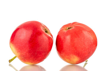 Two red sweet apples, close-up, on a white background.