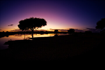 Beautiful sunset desert lake scenery with pink yellow and orange sundown in the background and black foreground with silhouette of a tree. Reservoir in the Moroccan desert