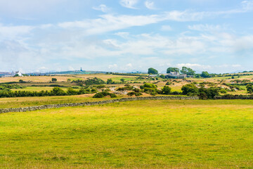 Fototapeta na wymiar Rural landscape on the isle of Anglesey, Wales