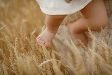 child in wheat field