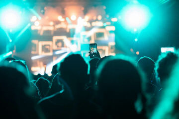 crowd at concert - summer music festival