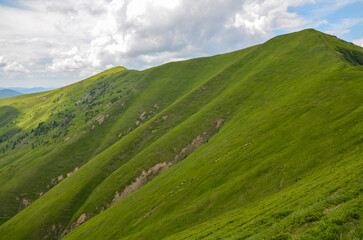 The steep slope of a green mountain ridge with lush grass against cloudy sky. Carpathian Mountains, Ukraine