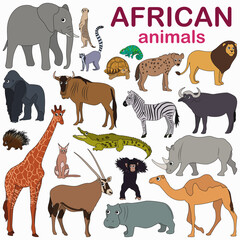 Big collection of cute cartoon african animals.