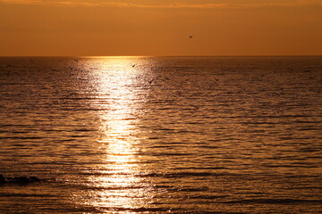 Fototapety  Piękny zachód słońca latem nad morzem w czasie upałów.