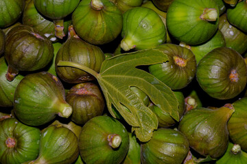 Fresh organic figs just harvested and a fig leaf on them